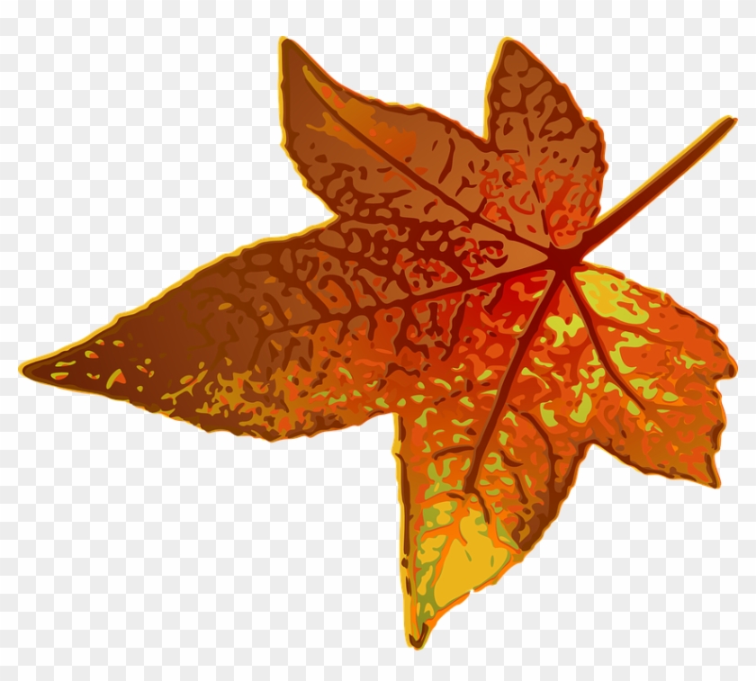 Autumn Leaf Clipart 8, - Maple Leaf Clip Art #388739