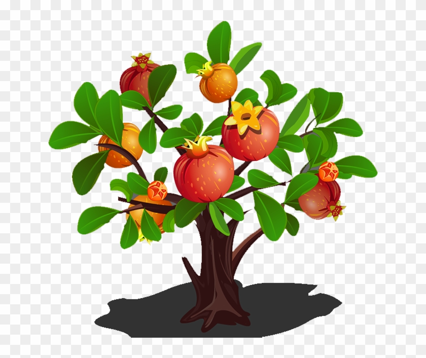 Pomegranate Tree Clip Art - Pomegranate Tree Transparent #388758