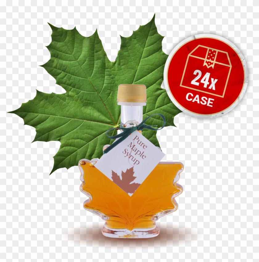 Image Of Maple Leaf - Bulk Maple Syrup For Sale #388839