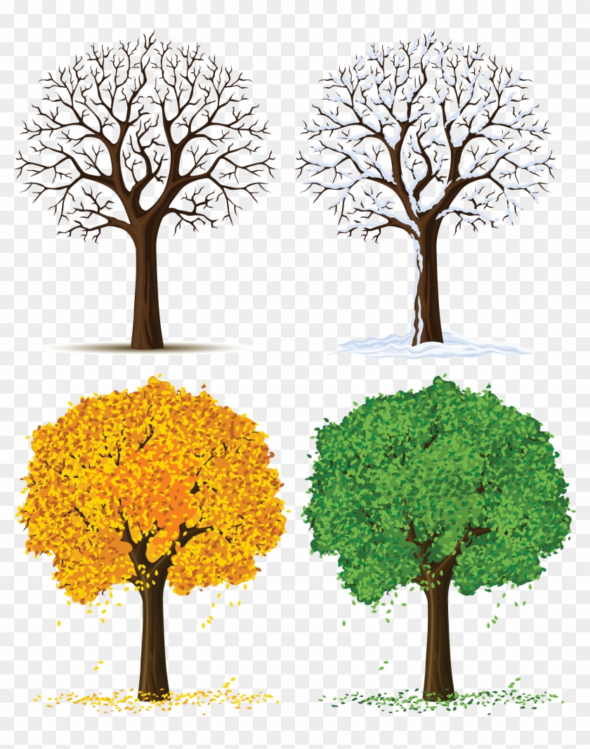 Tree Seasons Clipart - Four Seasons Png #388898