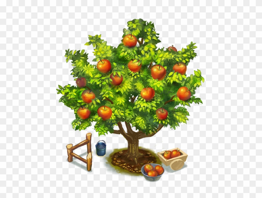 Picture Of An Apple Tree - Proces Fotosinteze #388937