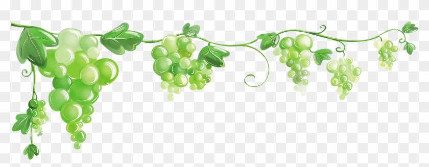 Grape Clip Art - Grape Clip Art #389018