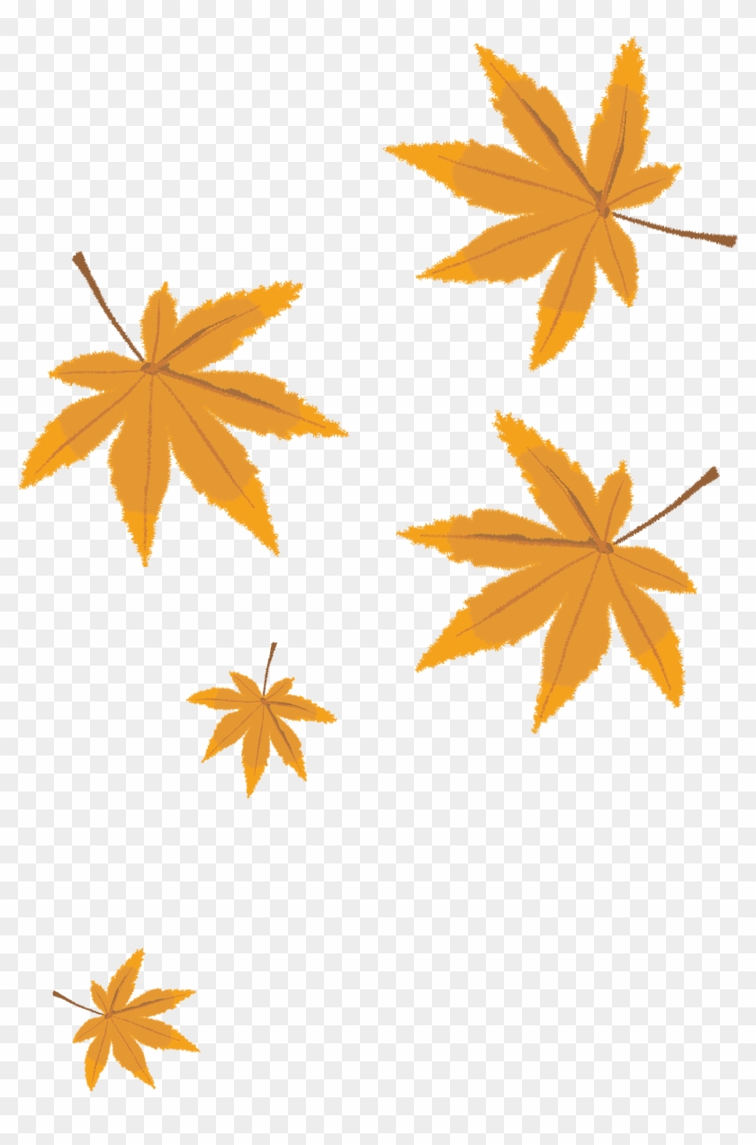 Autumn Leaves Png Vector Material - Cartoon Autumn Leaves #388998