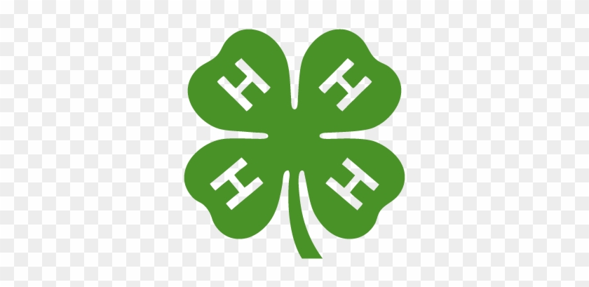 4-h Club Vector Logo - Oklahoma 4 H #389211