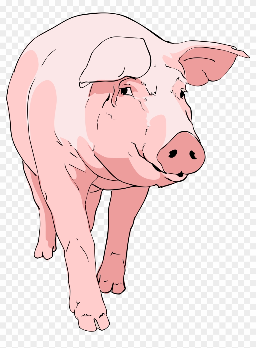 Open - Free Pig Clip Art #389219