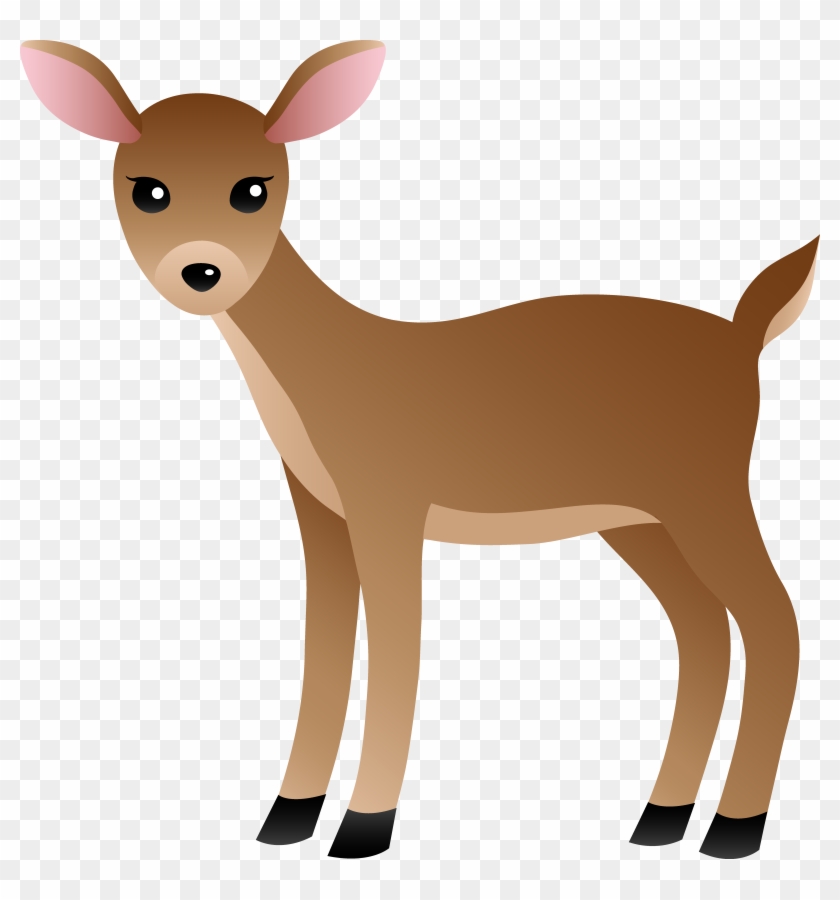 Wildlife Clipart Dear Animal - White Tailed Deer Clipart #389264