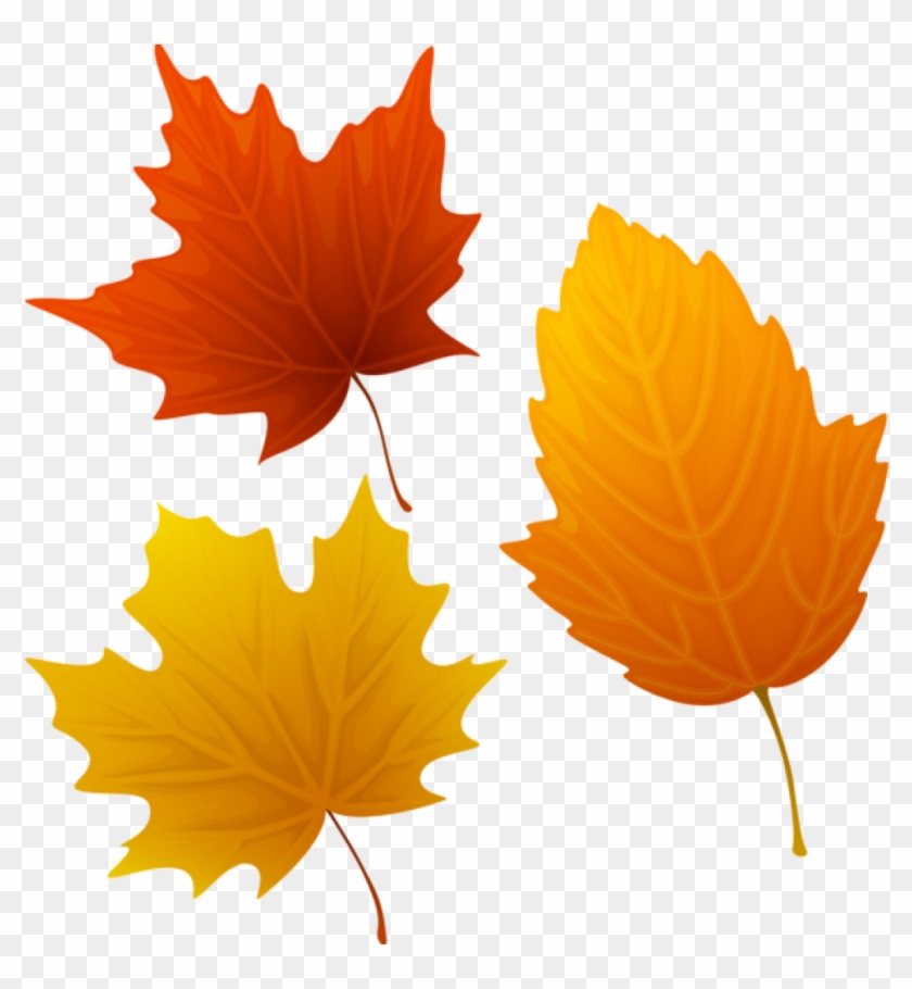 Autumn Leaves Clipart Set Of Autumn Leaves Clipart - Autumn Leaves Clipart #389347