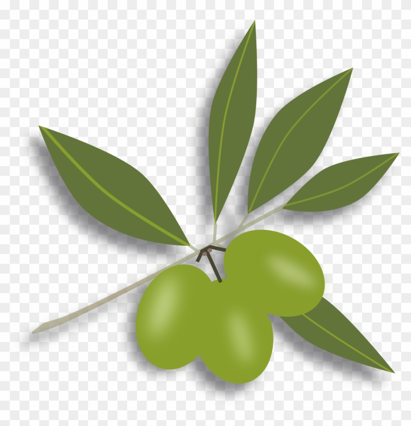 This Free Icons Png Design Of Green Olives - This Free Icons Png Design Of Green Olives #389522