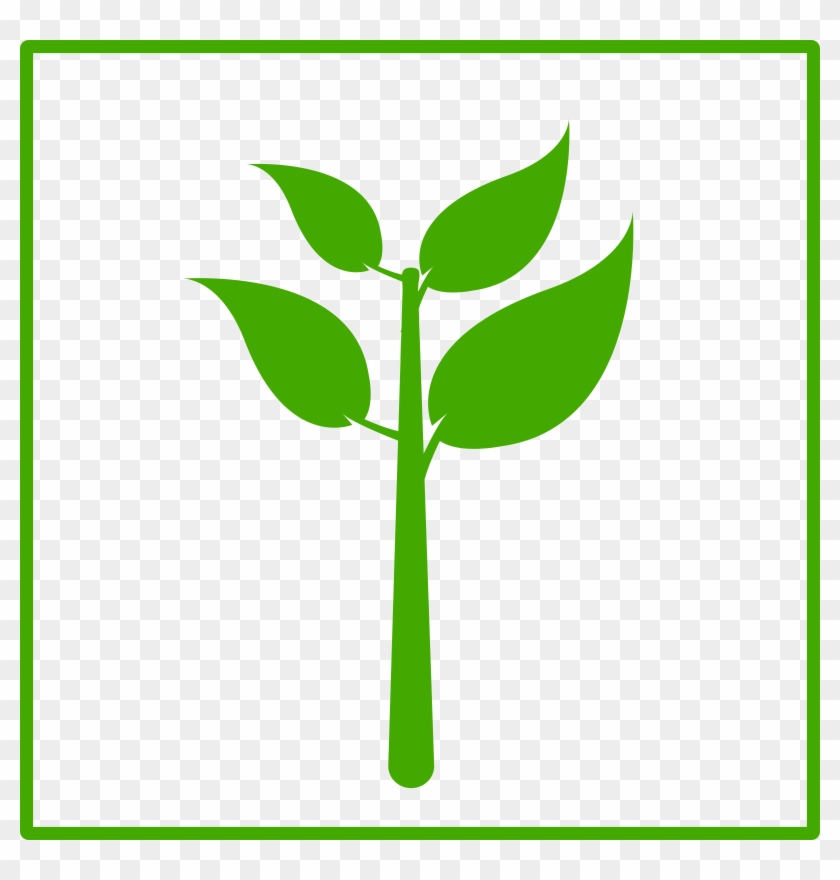 Idea Hand Drawn Icon - Green Plant Icon #389530