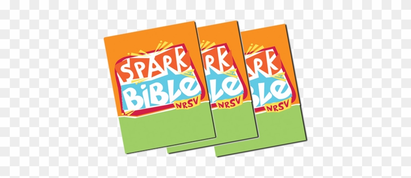 Bibles For Sunday School Students - Spark Bible: New Revised Standard Version #389596