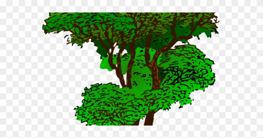 Rainforest Plants Clip Art - Advice From A Tree Poem #390015