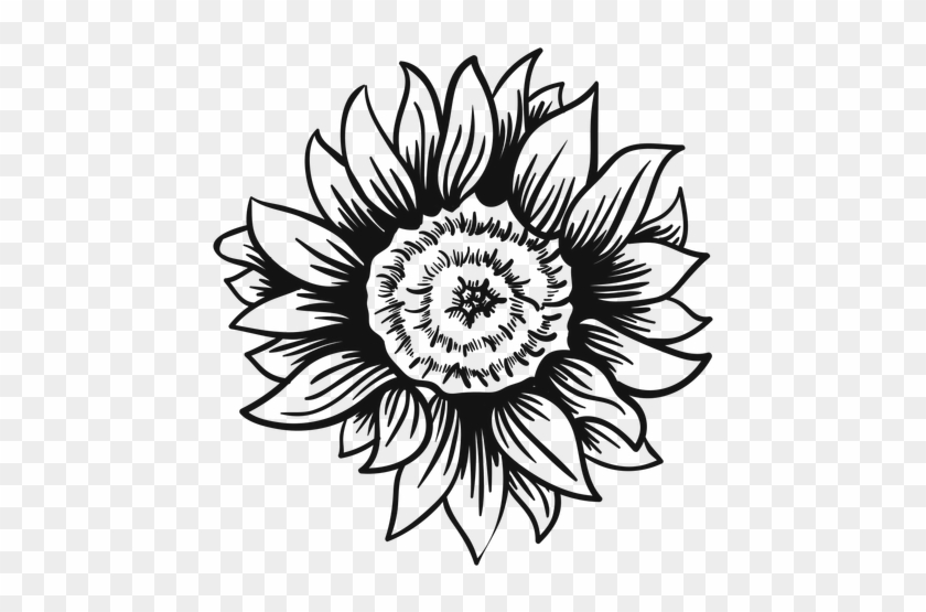 Sunflower Head Stroke Transparent Png - Black And White Sunflower Svg - .....