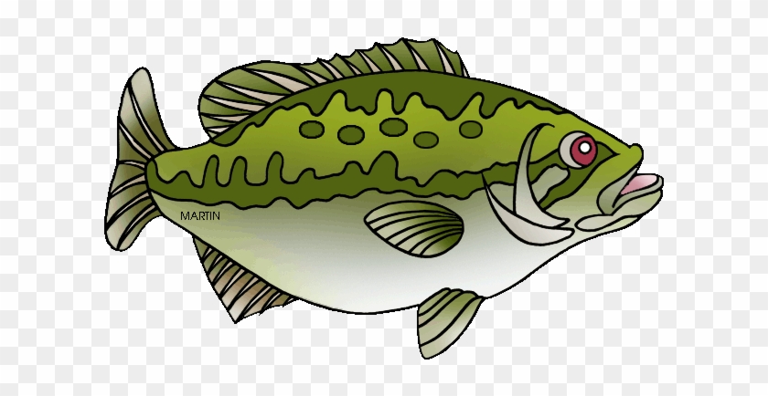 Free Largemouth Bass Drawing Outline - Sea Bass Clip Art #390120