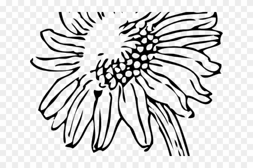 Sketch Clipart Sunflower - Sunflower Clipart #390129