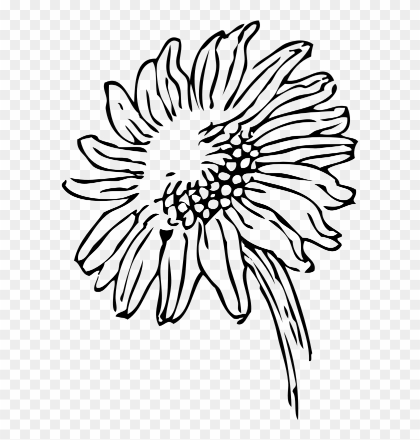 Sunflower Black And White Sunflowers Clipart Black - Sunflowers Clip Art Black And White #390148