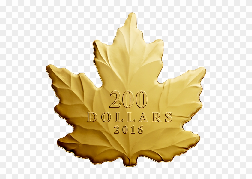 Pure Gold Coin Maple Leaf Silhouette Mintage 800 - Maple Leaf Shaped Gold Coin #390193