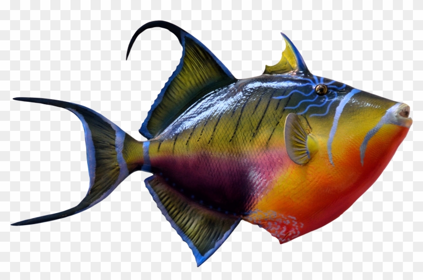 Fish Png #390271