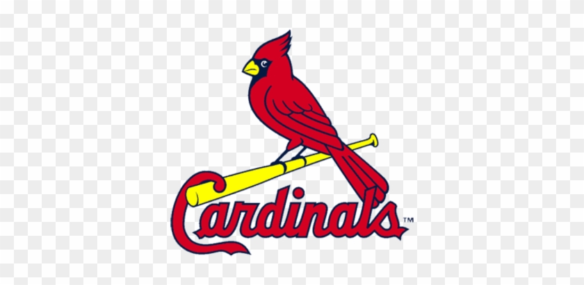 St Louis Cardinal Logo #390386