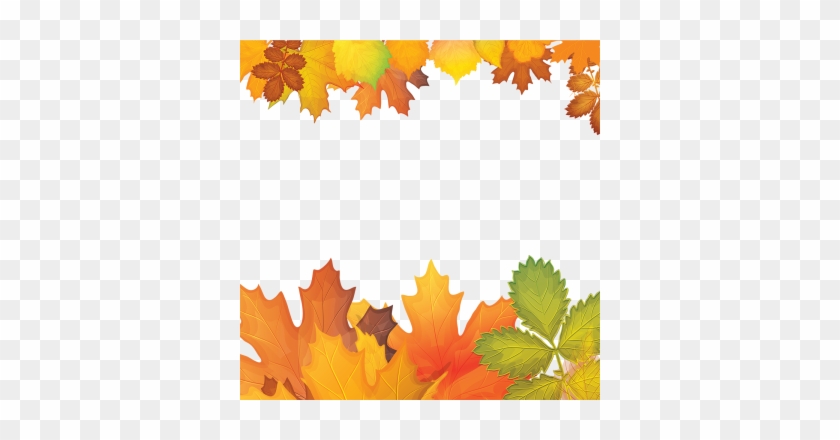 Autumn Background With Realistic Leaf, Autumn, Background, - Leaf #390453