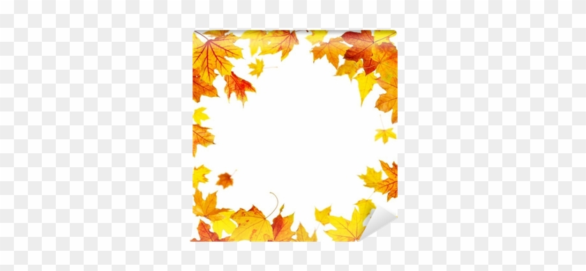 Falling Autumn Maple Leaves Frame Isolated On White - Hojas De Otoño Volando #390464