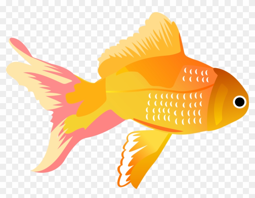 Fish Vector Free - Vector Images Of Fish #390476