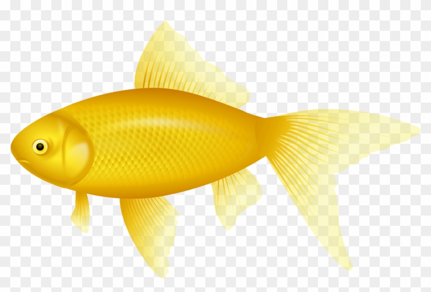 Yellow Fish Png Clipart - Yellow Fish #390481