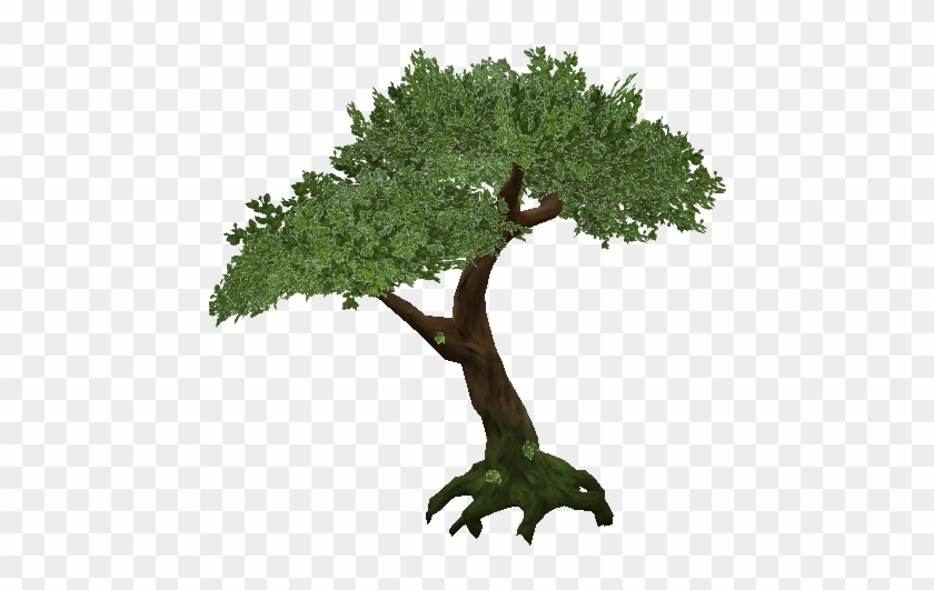 Jungle Tree Png Transparent - Jungle Tree Png #390583