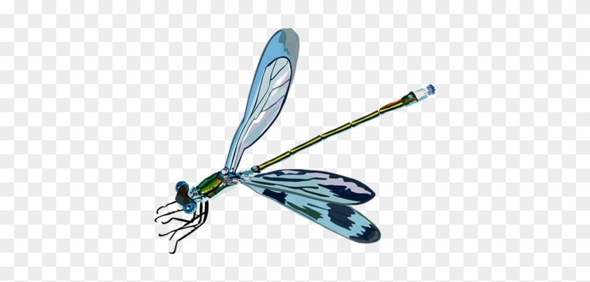 Dragonflies Clip Art - Clip Art #390635