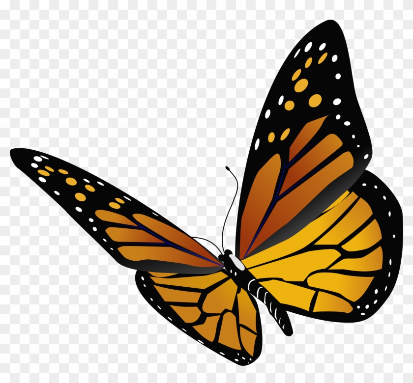 Monarch Butterfly Insect Clip Art - Close View Monarch Butterfly #390671