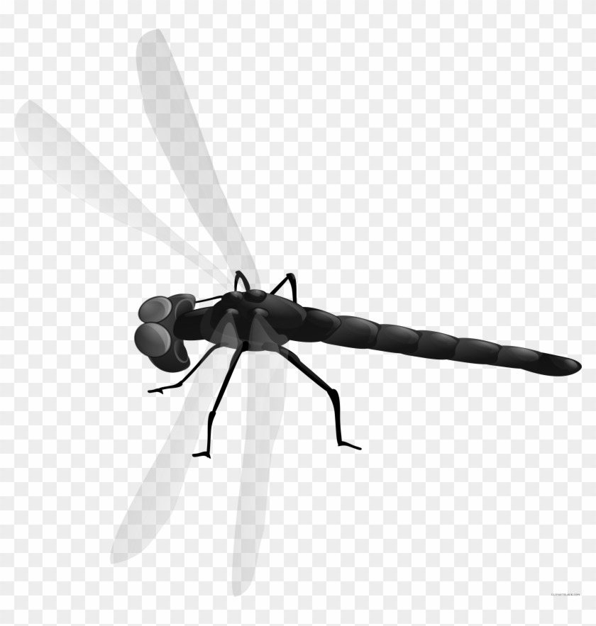 Dragonfly Animal Free Black White Clipart Images Clipartblack - Dragonfly Clipart #390691