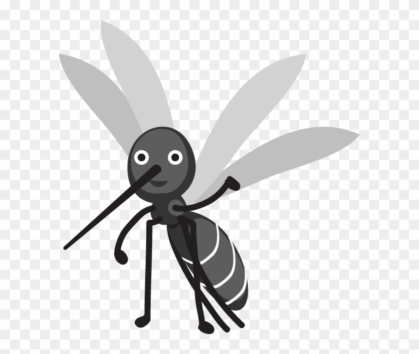 Animals And Insects Of Yakushima - ยุง Vector #390754