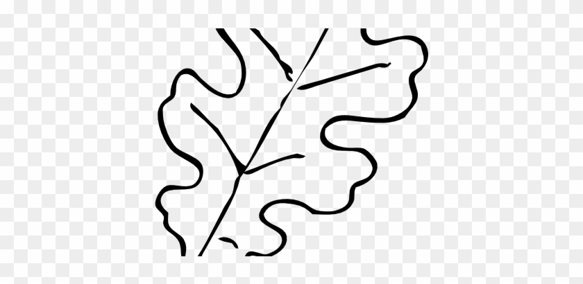 Surprise Fall Leaves Outline Leaf Template Oak Clip - Autumn Leaves Clip Art Black And White #390802
