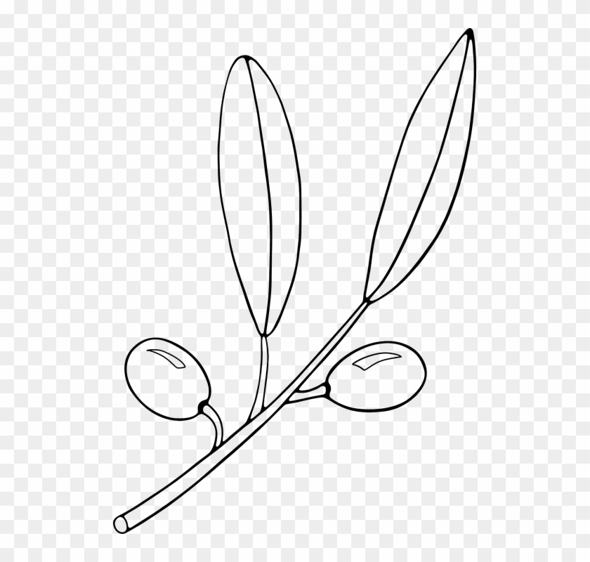 Leaf Outline Cliparts 24, - Olive Clipart Black And White Png #390819