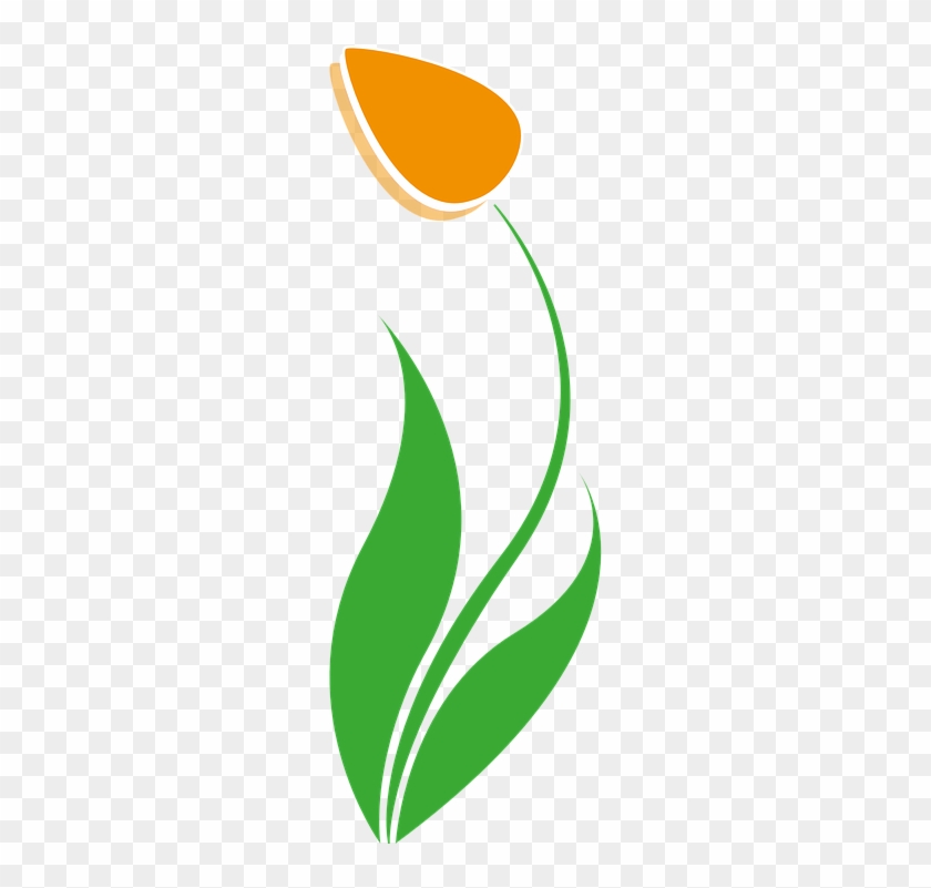 Free Vector Graphic - Tulip Vector Png #391150