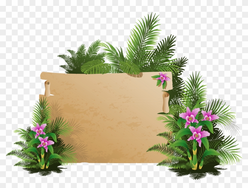 Summer Exotic Board Png Clipart - Mensagens De Otimismo Com Bom Dia #391168