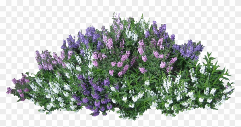 Download Bush Free Png Photo Images And Clipart - Flower Bush Png #391192