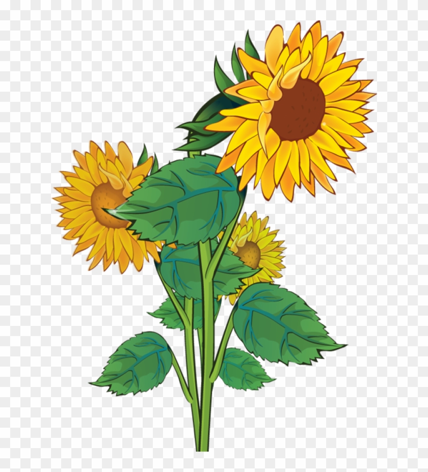 Free Sunflower Clipart Public Domain Flower Clip Art - Clipart Sun Flower #391463