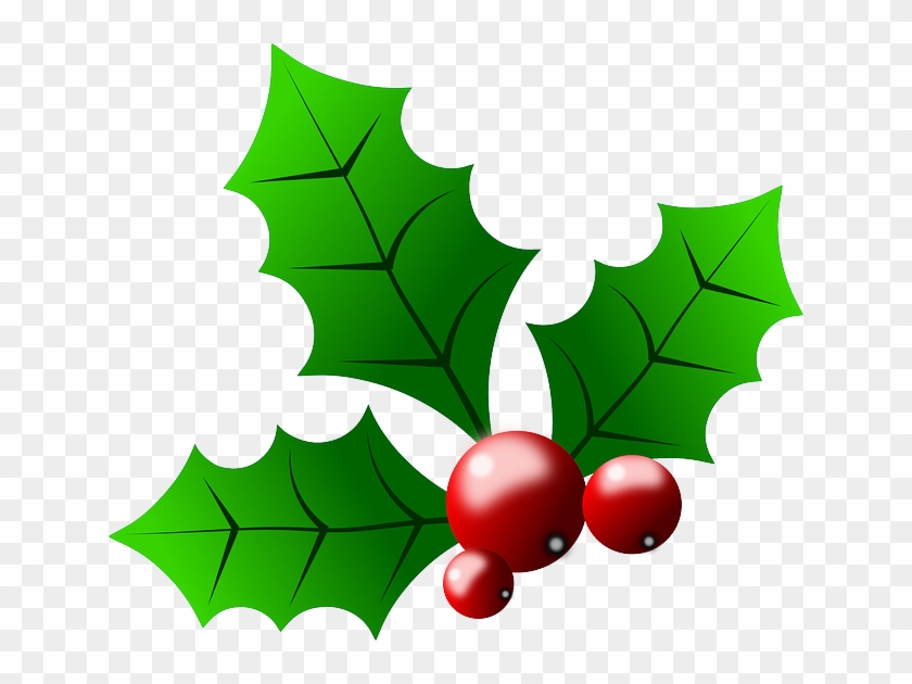 Image result for holly transparent background