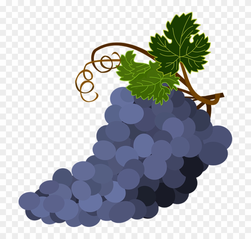 Pictures Of Grape Leaves - Grap3s Clipart #391658