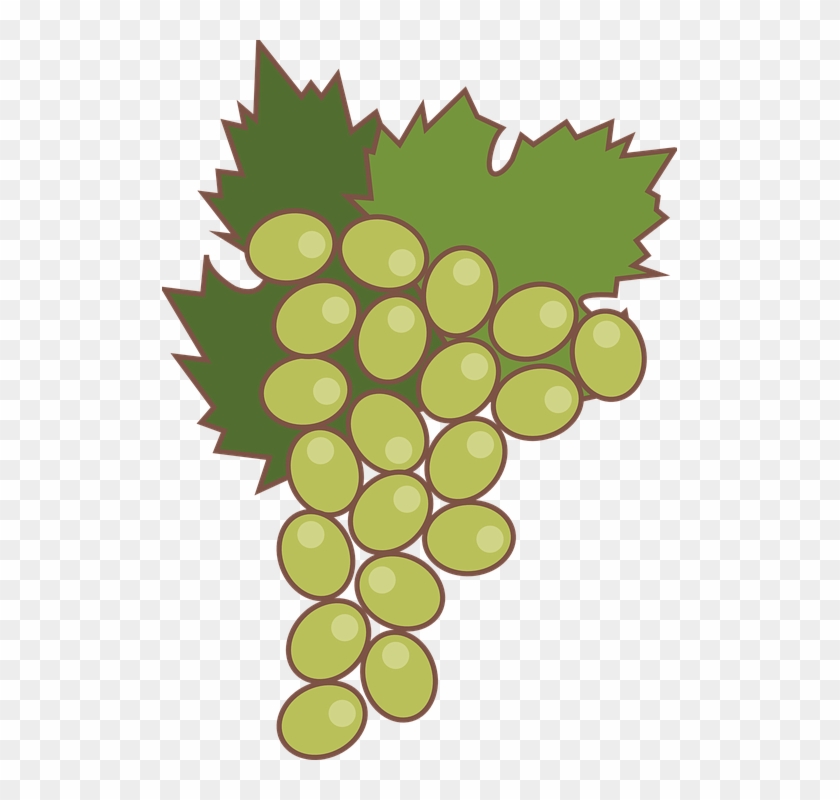 Grape Leaf Cliparts 12, Buy Clip Art - Grape #391659