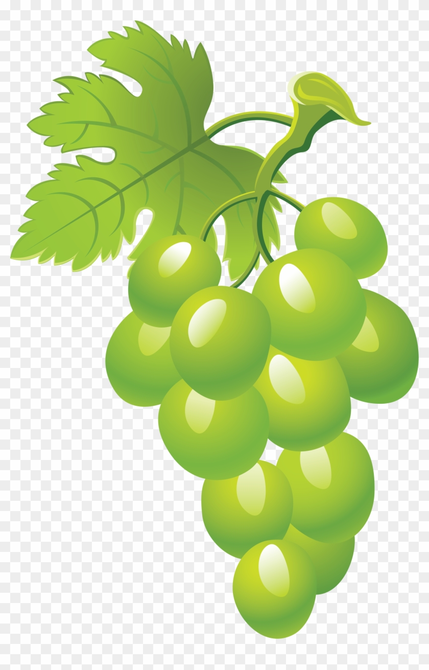 Grape Clipart Grape Leaf - Grapes Clipart Png #391685