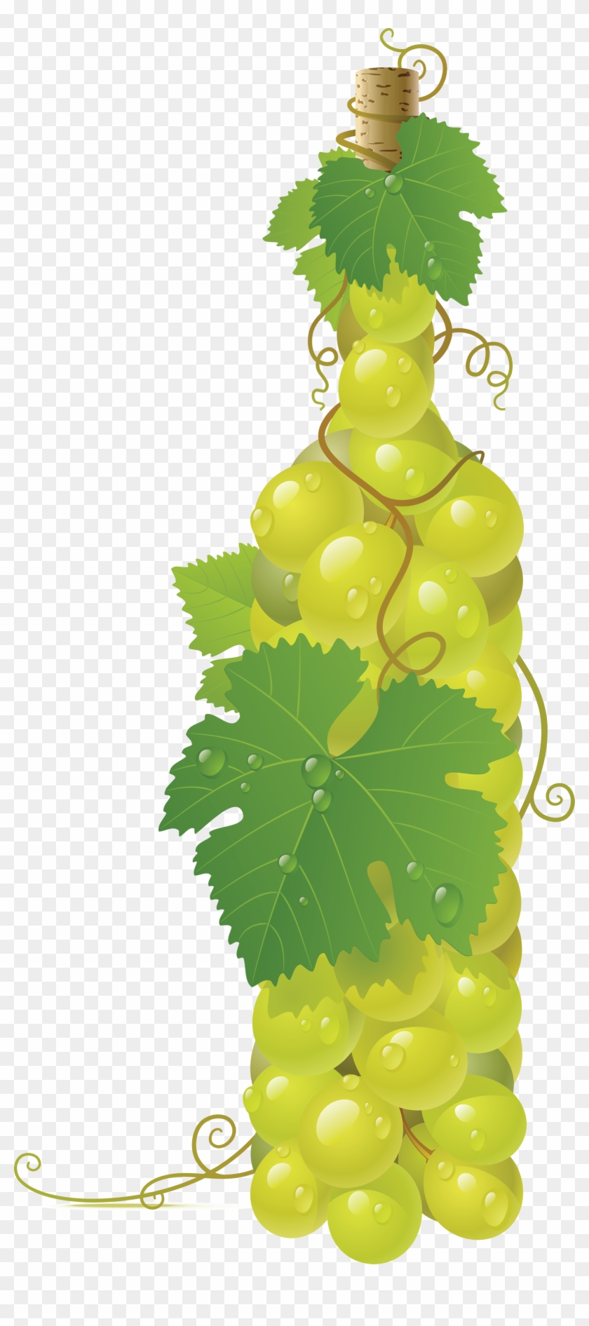 Grape Clipart Two - Grapes Vector #391686