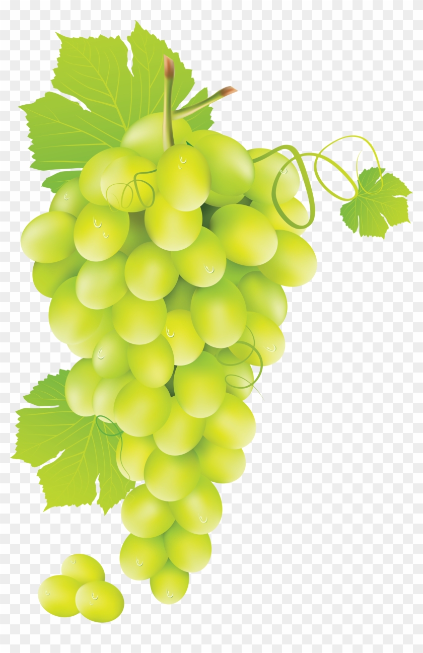Green Grapes Clipart - Green Grape Png #391696