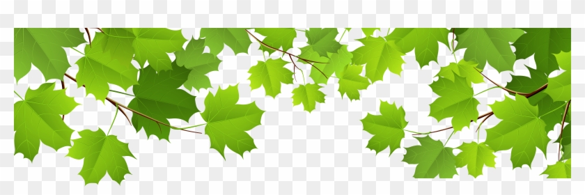 Maple Leaf Clipart Spring Leaves - Spring Leaves Png #391721