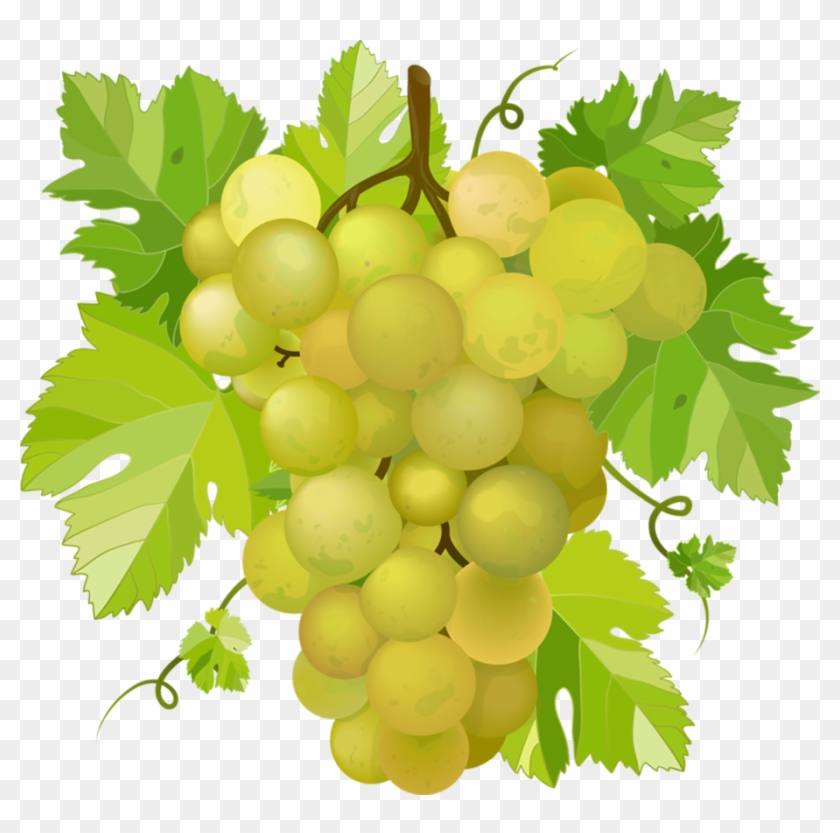 Grapes * - Белый Виноград Png #391761