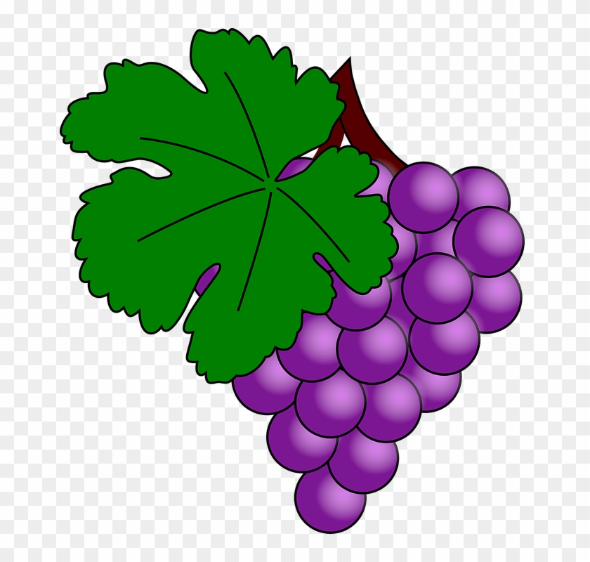 Cartoon Grapes 8, Buy Clip Art - Uva Clipart #391773