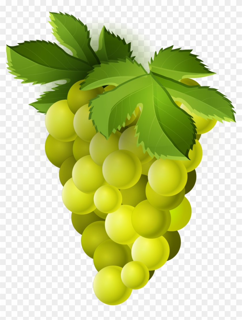 Grape Clipart Png Image 03 - Grape #391778