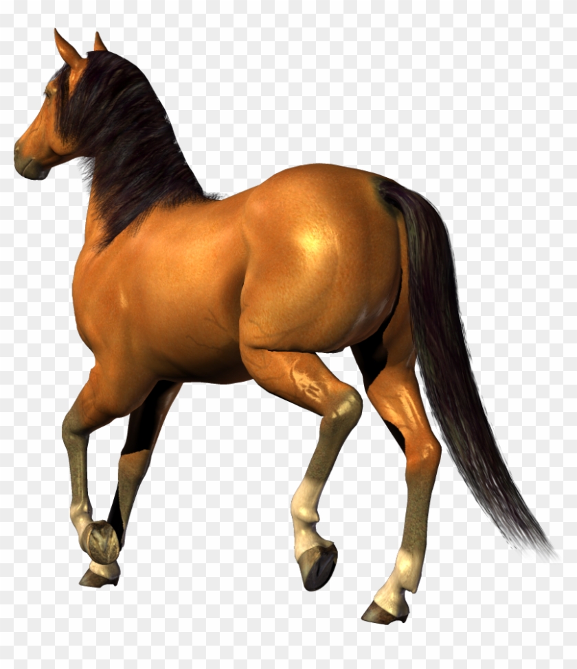 Png Image - Horse With Transparent Background #392072