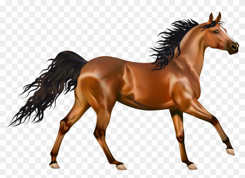 Download - Horse Png #392084