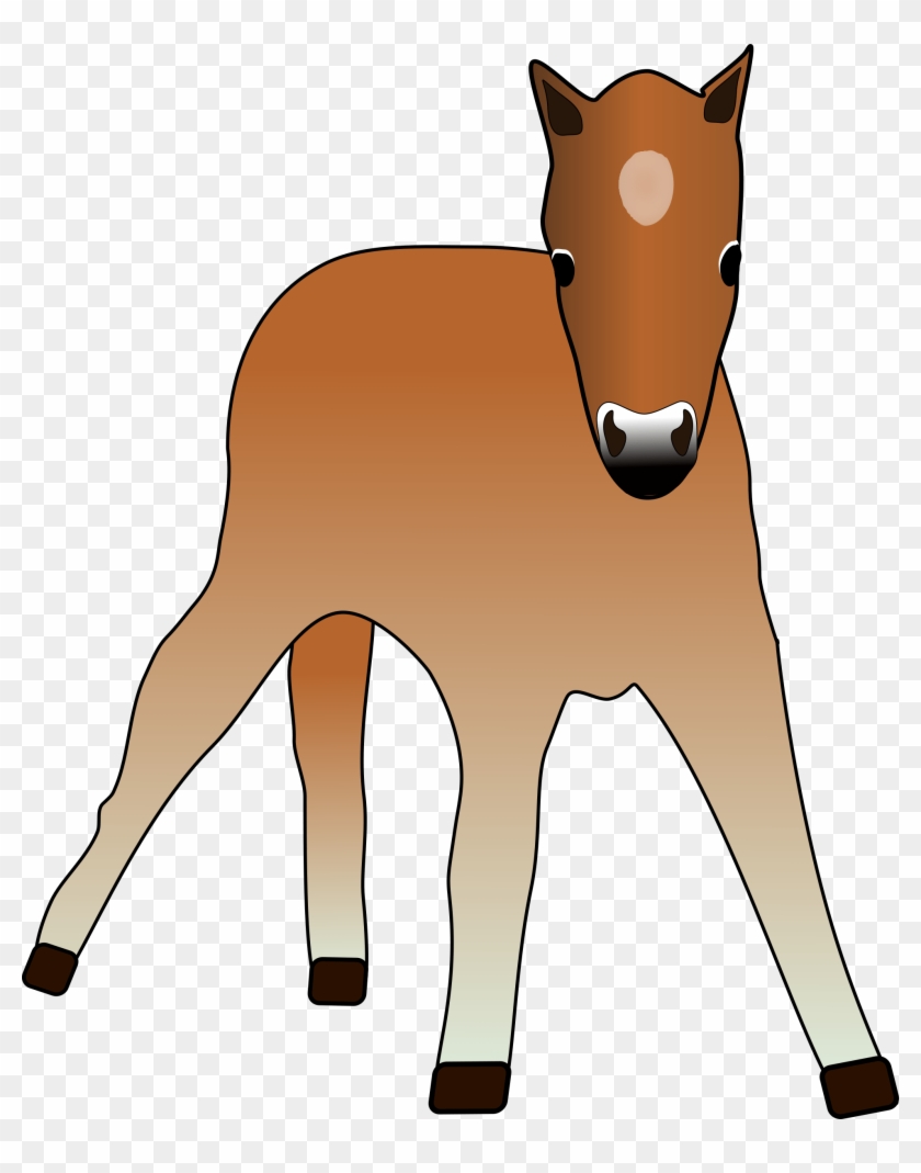 Foal - Horse Clipart #392099